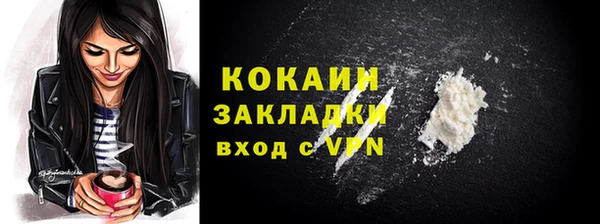 СК Алексин