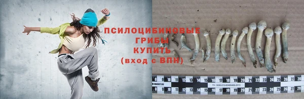 сатива Алзамай