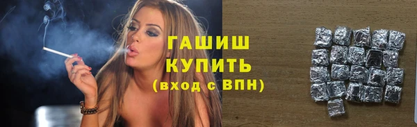 СК Алексин