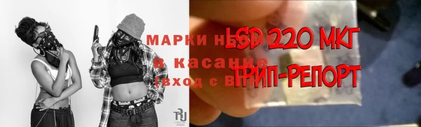 СК Алексин