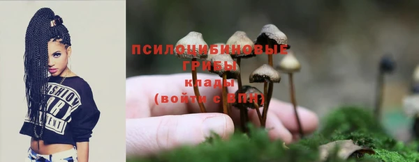 СК Алексин