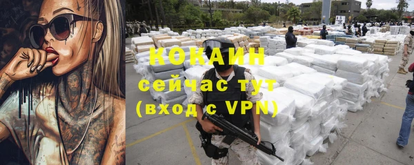 сатива Алзамай