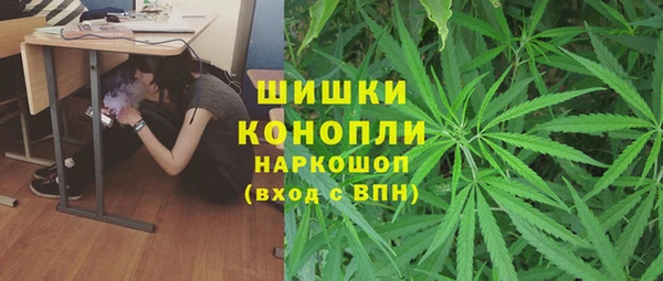 СК Алексин