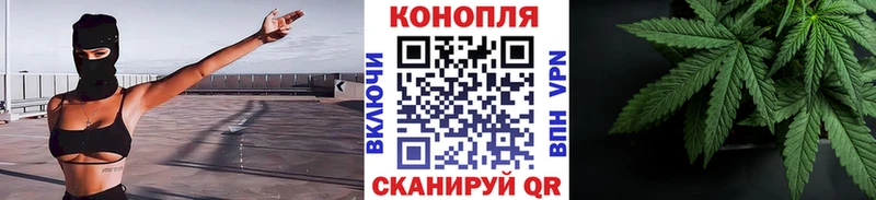 наркошоп  Шацк  Конопля планчик 